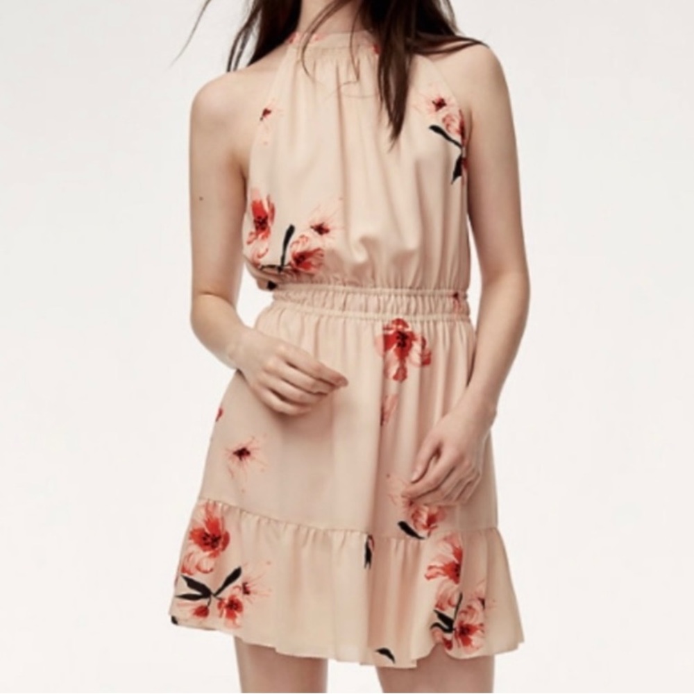 Wilfred Effet Mini Dress (floral)